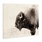 Stupell Industries Shaggy Buffalo Rustic Portrait Vintage Sepia Tone Photography Canvas Design By Nancy Crowell